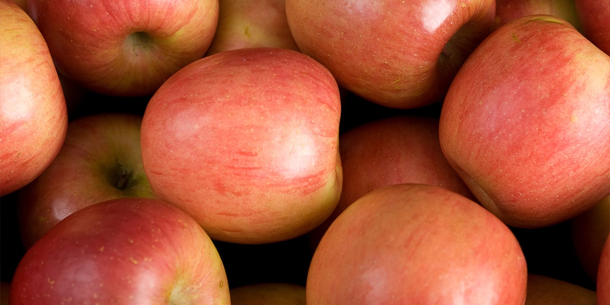 Miller Orchards Visit Wenatchee